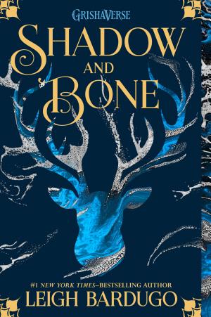 The Shadow and Bone cover