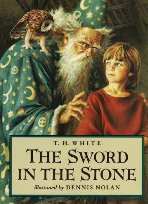 The Sword in the Stone cover