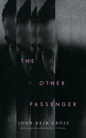 The Other Passenger cover