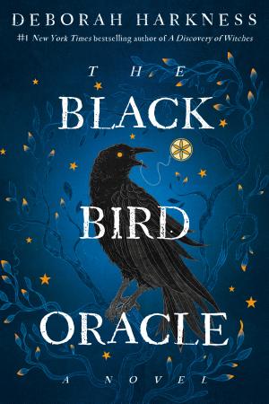 The Black Bird Oracle cover