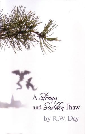 A Strong and Sudden Thaw cover